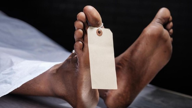 Clubnet Digital Clubnet Branding Identity Marketing