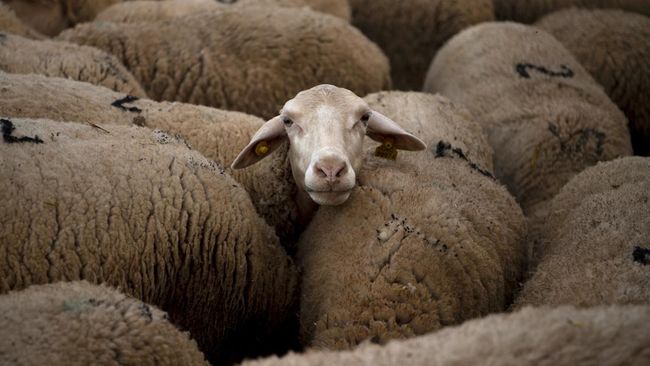 Clubnet Digital Clubnet Branding Identity Marketing