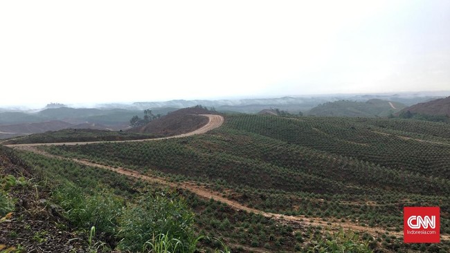 Clubnet Digital Clubnet Branding Identity Marketing